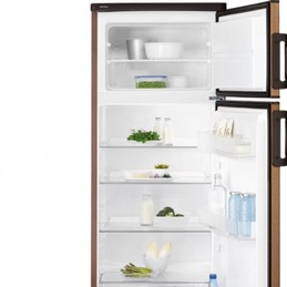 ELECTROLUX REX RJ2300AOD2 