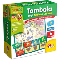 Giochi Didattico Scolastici Lisciani Quadrotte assortite Carotina 47178 da 3 a 6 Anni
