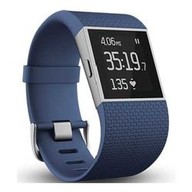 Sport Watches con GPS e Cardiofrequenzimetro Fitbit Surge Large Impermeabile Argento FB-501BUL-EU