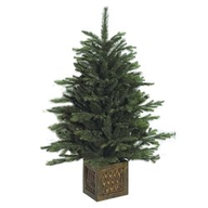 Alberi di Natale Amicasa Pinetto con vaso Cm 100 Pe pvc 008351