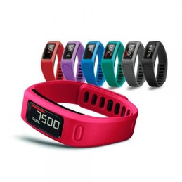 Garmin VIVOFIT 