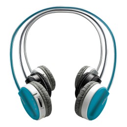 Rapoo H6020