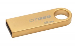 Kingston DTGE9/8GB