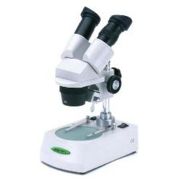 Dorr STM-40
