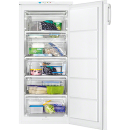 ELECTROLUX REX RUF1900AOW 